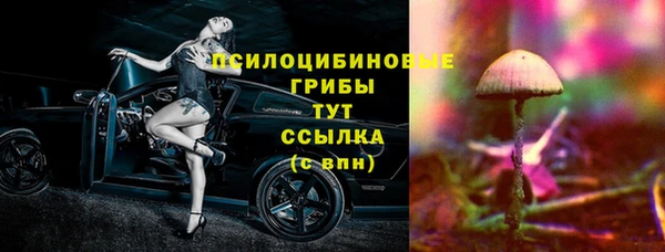 первитин Ельня