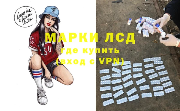кокс Елизово