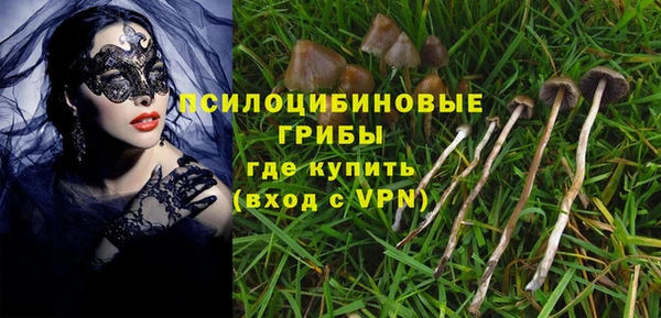 соль курить ск Елабуга