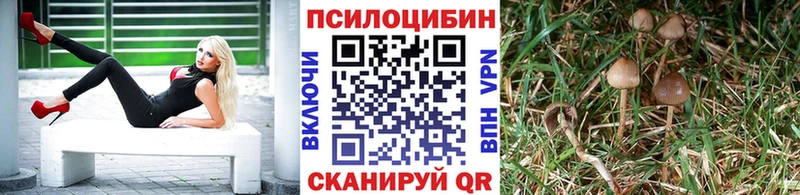 что такое наркотик  Зубцов  Галлюциногенные грибы Psilocybine cubensis 