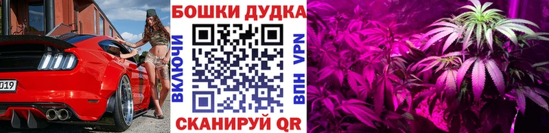 дарнет шоп  Зубцов  Канабис конопля 
